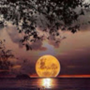 Meet your Posher, Maura